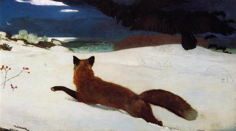 Renard 2