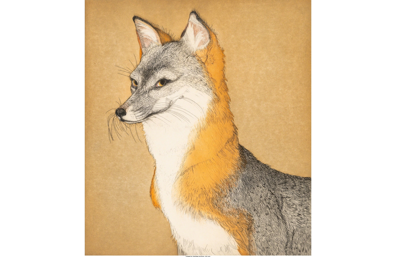 Renard 5