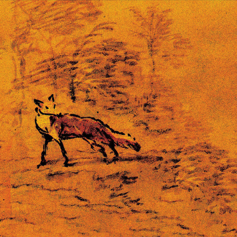 Renard 8